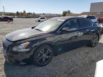  Salvage Nissan Maxima