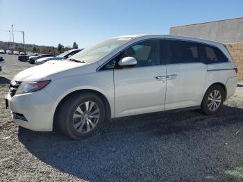  Salvage Honda Odyssey