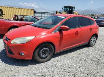  Salvage Ford Focus