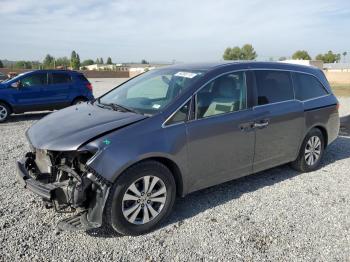  Salvage Honda Odyssey