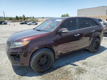  Salvage Kia Sorento
