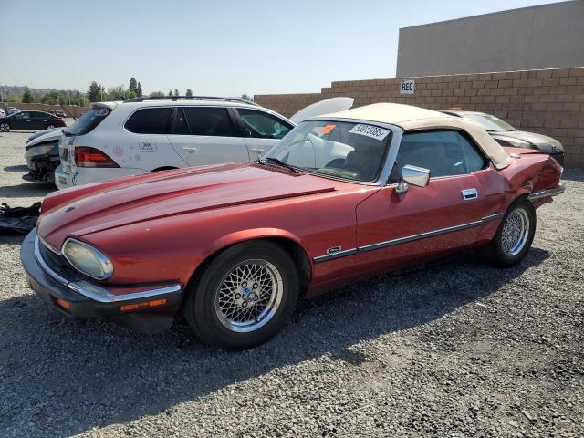  Salvage Jaguar Xjs