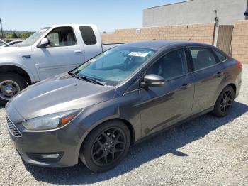  Salvage Ford Focus