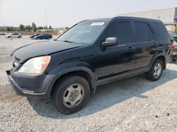  Salvage Honda Crv