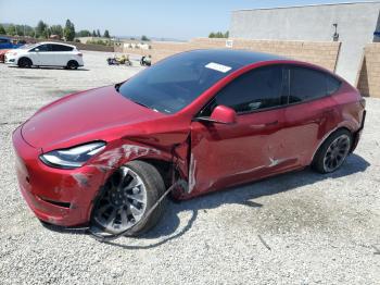  Salvage Tesla Model Y