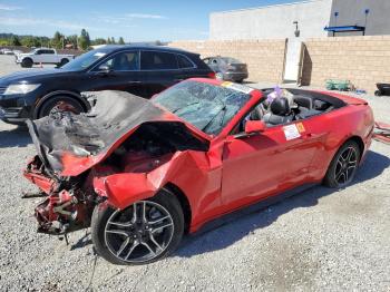  Salvage Ford Mustang