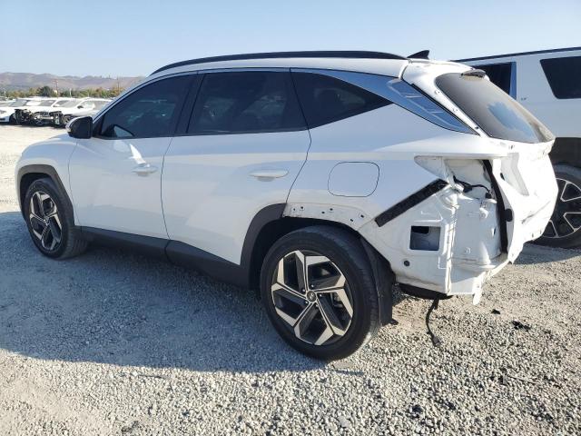 Hyundai TUCSON Limited Image 6