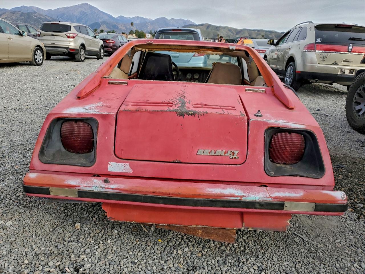 Volkswagen Beetle Image 4