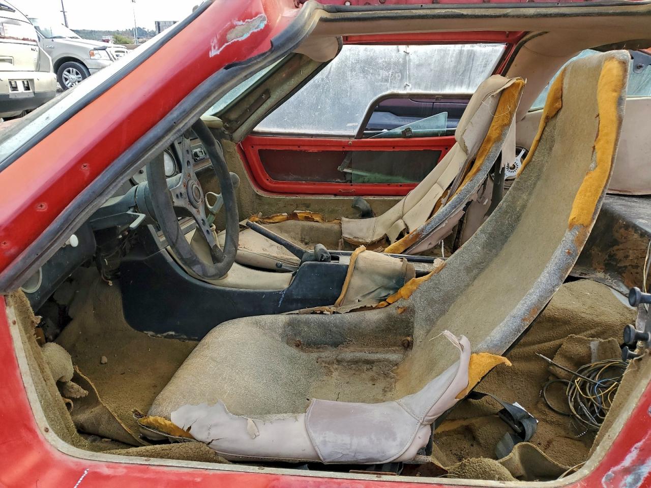 Volkswagen Beetle Image 13