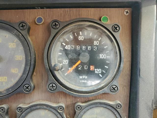 Volkswagen Beetle Image 9