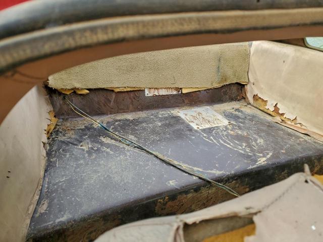 Volkswagen Beetle Image 11