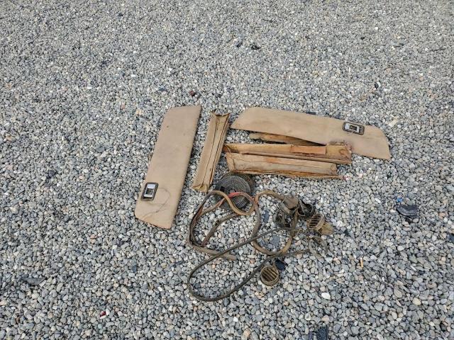 Volkswagen Beetle Image 12