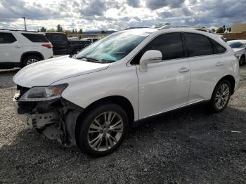  Salvage Lexus RX